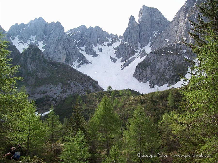 1° giugno 08 Cimon della Bagozza 001.jpg - Siamo in cerca della neve